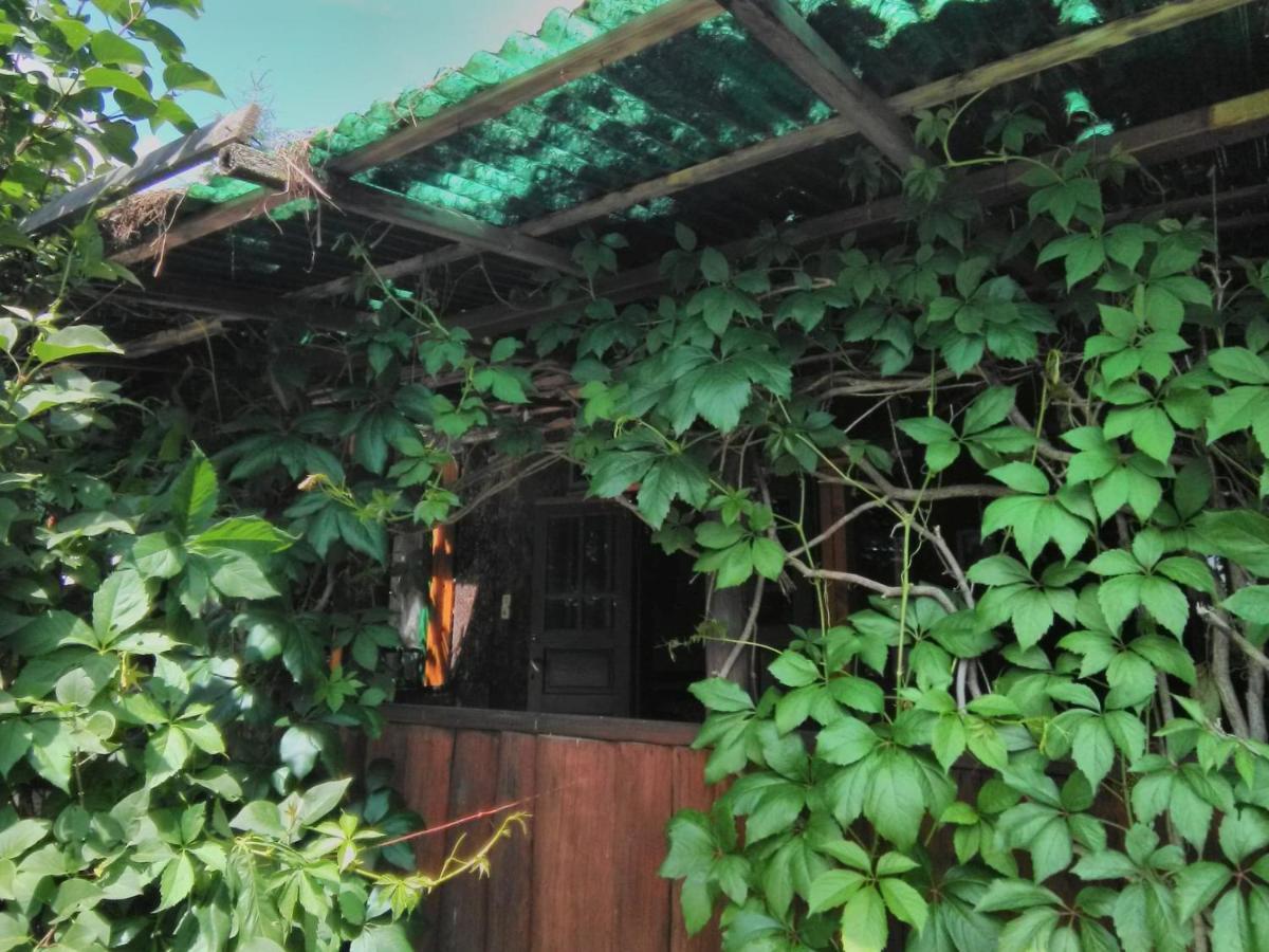 Casa Paltin Vila Si Cabane Poiana Stampei Exterior photo