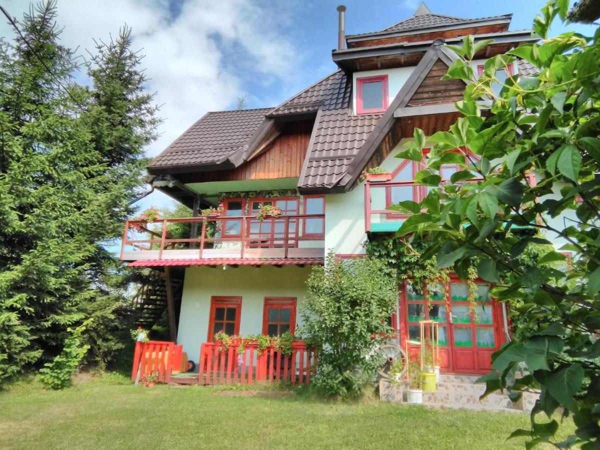 Casa Paltin Vila Si Cabane Poiana Stampei Exterior photo